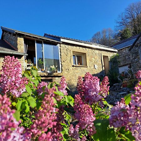 La Bouletiere Bed and Breakfast Dourbies Eksteriør billede