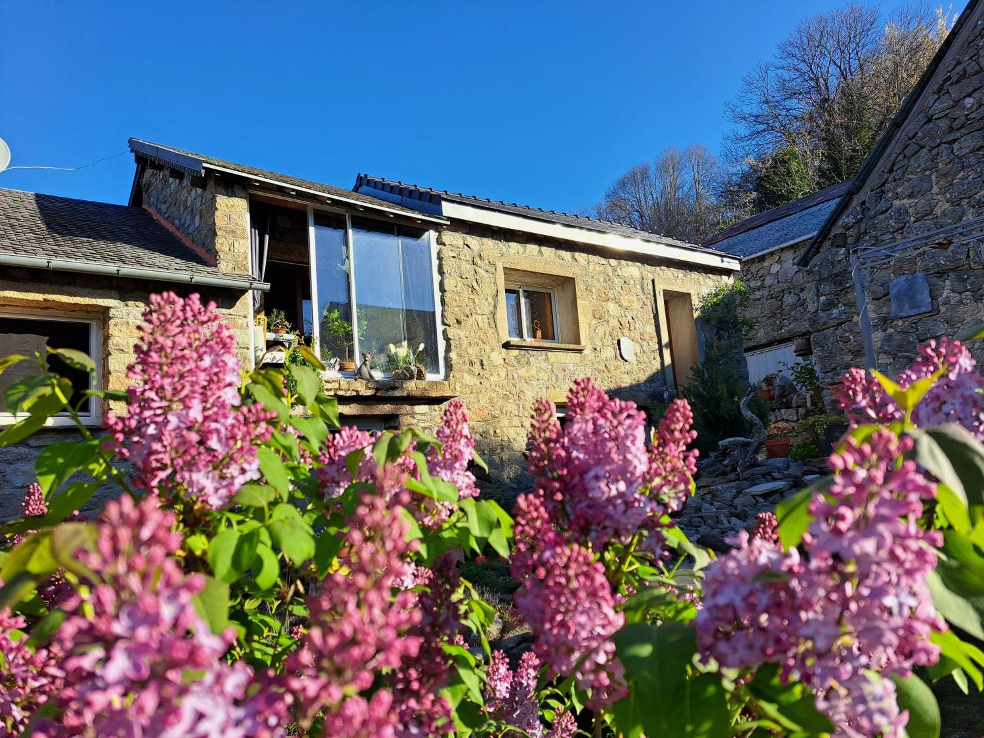 La Bouletiere Bed and Breakfast Dourbies Eksteriør billede